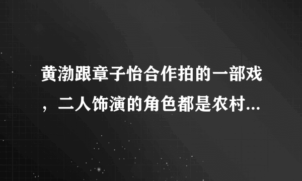 黄渤跟章子怡合作拍的一部戏，二人饰演的角色都是农村人的！戏的名字是什么？