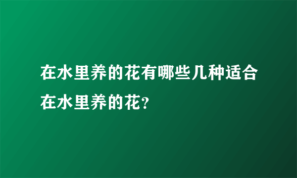 在水里养的花有哪些几种适合在水里养的花？