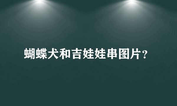 蝴蝶犬和吉娃娃串图片？