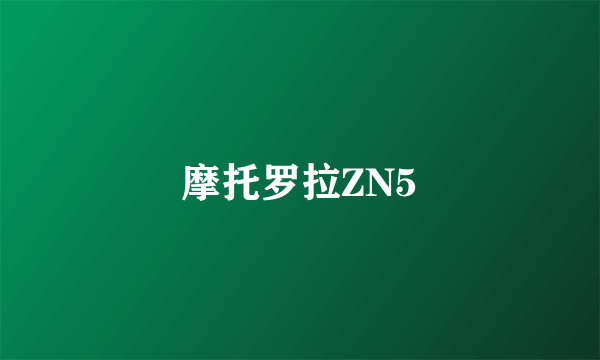 摩托罗拉ZN5