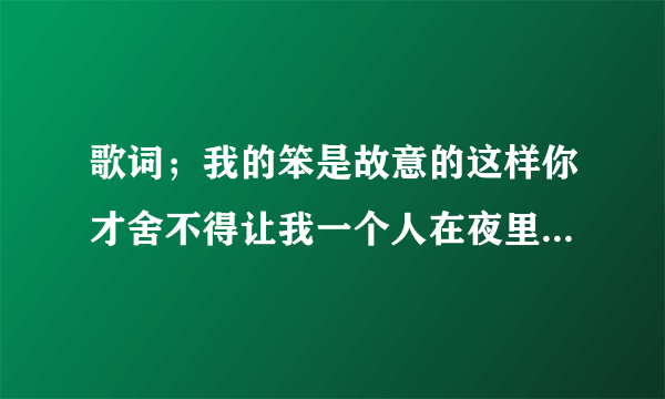 歌词；我的笨是故意的这样你才舍不得让我一个人在夜里彷徨忐忑 是什么歌