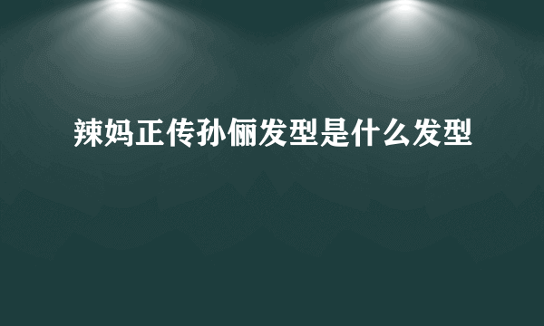 辣妈正传孙俪发型是什么发型