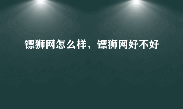 镖狮网怎么样，镖狮网好不好