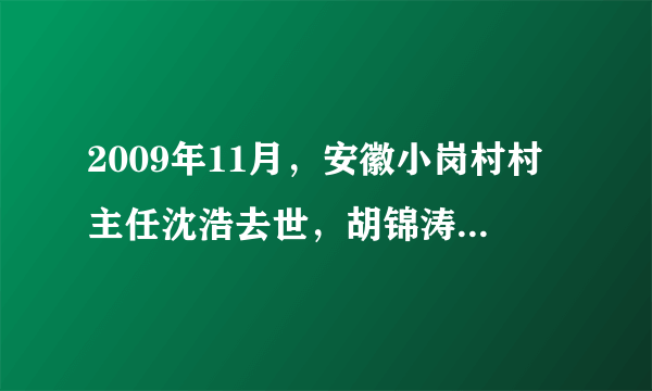 2009年11月，安徽小岗村村主任沈浩去世，胡锦涛总书记致慰问电。作为我国农村改革的发源地，小岗村率先