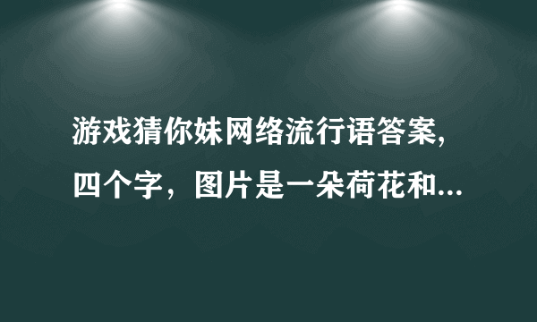 游戏猜你妹网络流行语答案,四个字，图片是一朵荷花和保安堂三个字