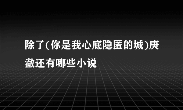 除了(你是我心底隐匿的城)庚澈还有哪些小说