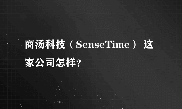 商汤科技（SenseTime） 这家公司怎样？