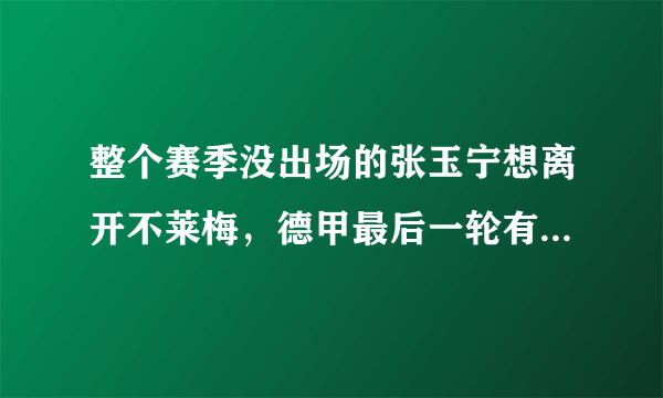 整个赛季没出场的张玉宁想离开不莱梅，德甲最后一轮有希望登场吗？