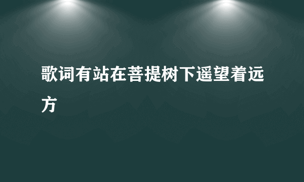 歌词有站在菩提树下遥望着远方