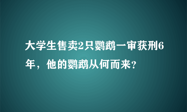 大学生售卖2只鹦鹉一审获刑6年，他的鹦鹉从何而来？