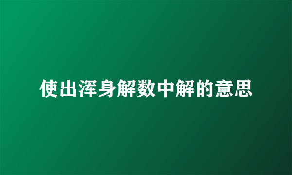 使出浑身解数中解的意思