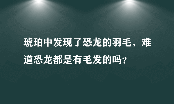 琥珀中发现了恐龙的羽毛，难道恐龙都是有毛发的吗？