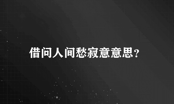 借问人间愁寂意意思？