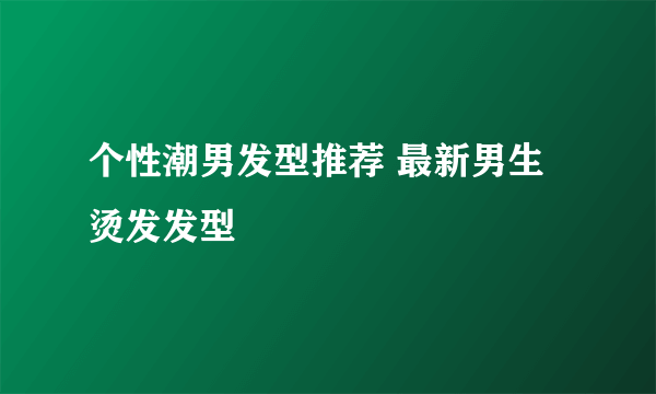 个性潮男发型推荐 最新男生烫发发型