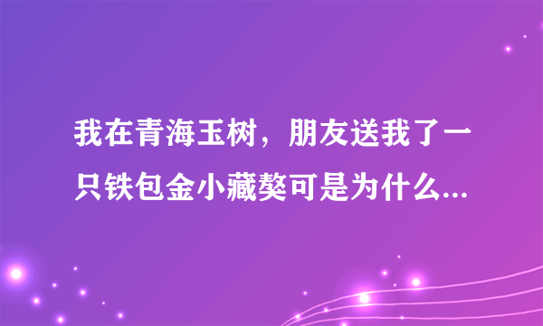 我在青海玉树，朋友送我了一只铁包金小藏獒可是为什么晚上老是呜呜的叫啊，还有怎么不听我的话啊、