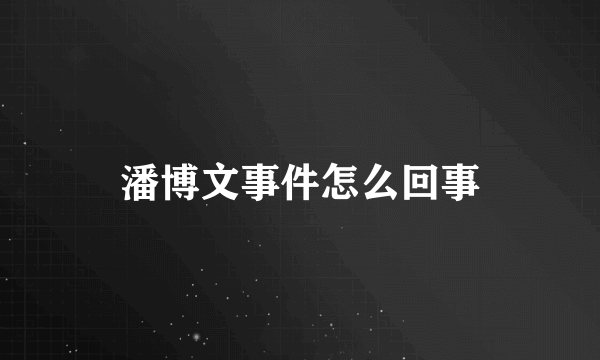 潘博文事件怎么回事