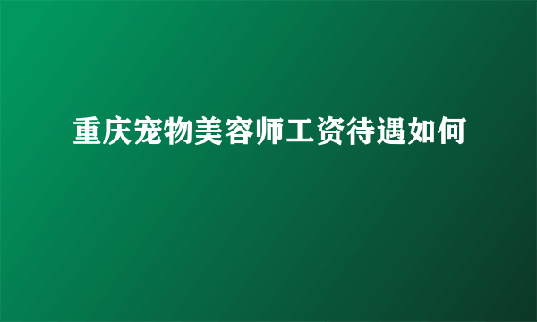 重庆宠物美容师工资待遇如何