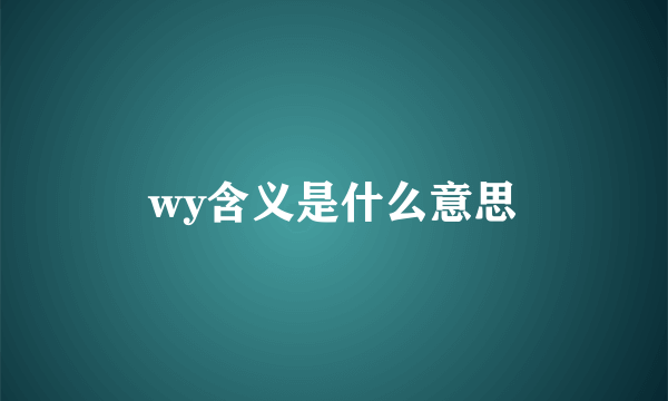 wy含义是什么意思