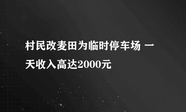 村民改麦田为临时停车场 一天收入高达2000元