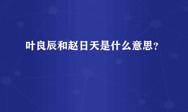 叶良辰和赵日天是什么意思？