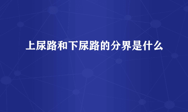 上尿路和下尿路的分界是什么