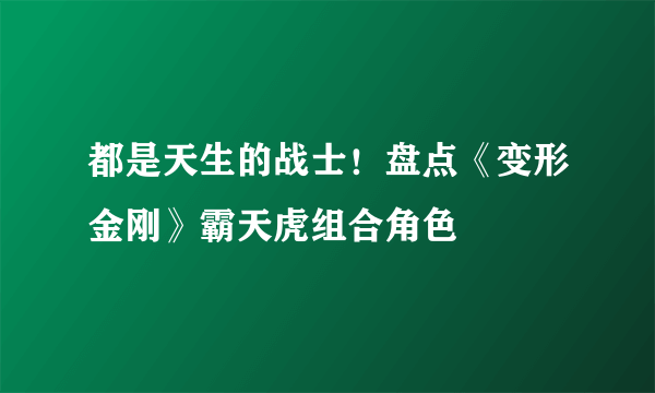 都是天生的战士！盘点《变形金刚》霸天虎组合角色