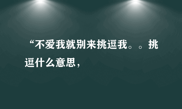 “不爱我就别来挑逗我。。挑逗什么意思，