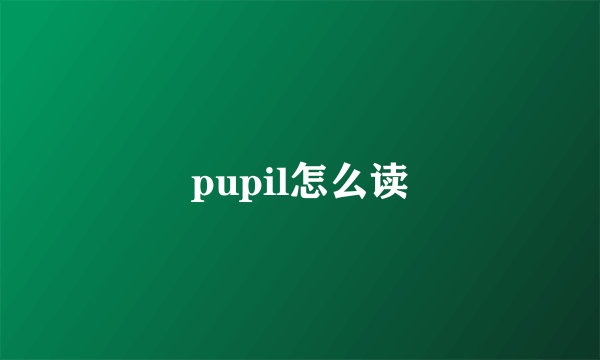 pupil怎么读