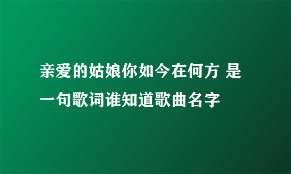 亲爱的姑娘你如今在何方 是一句歌词谁知道歌曲名字