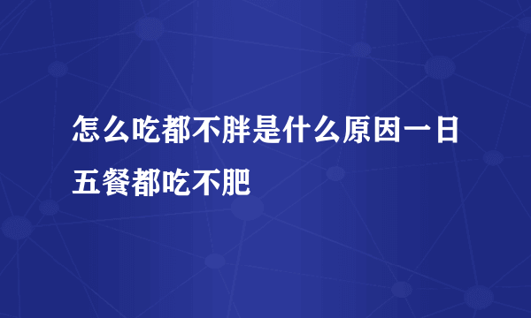 怎么吃都不胖是什么原因一日五餐都吃不肥