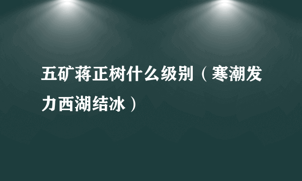 五矿蒋正树什么级别（寒潮发力西湖结冰）