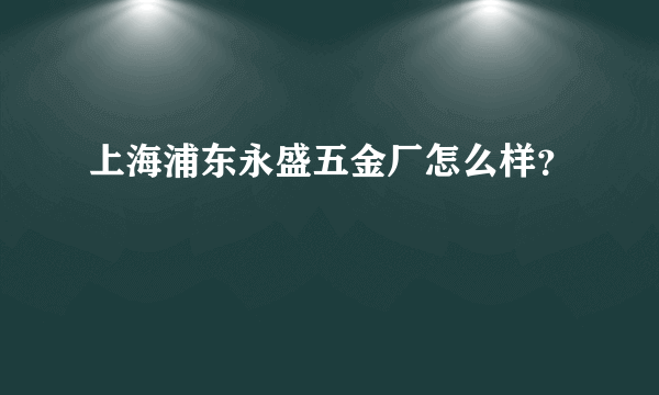 上海浦东永盛五金厂怎么样？