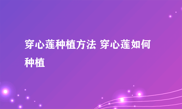 穿心莲种植方法 穿心莲如何种植