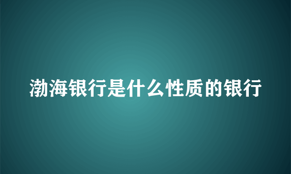 渤海银行是什么性质的银行