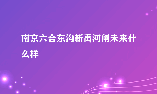 南京六合东沟新禹河闸未来什么样