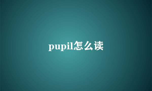 pupil怎么读