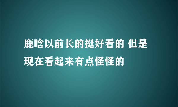 鹿晗以前长的挺好看的 但是现在看起来有点怪怪的