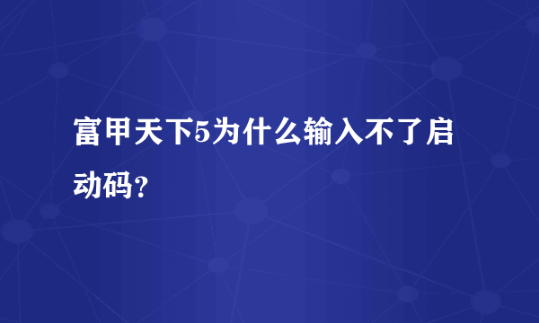 富甲天下5为什么输入不了启动码？