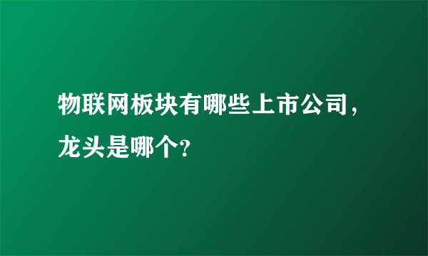 物联网板块有哪些上市公司，龙头是哪个？