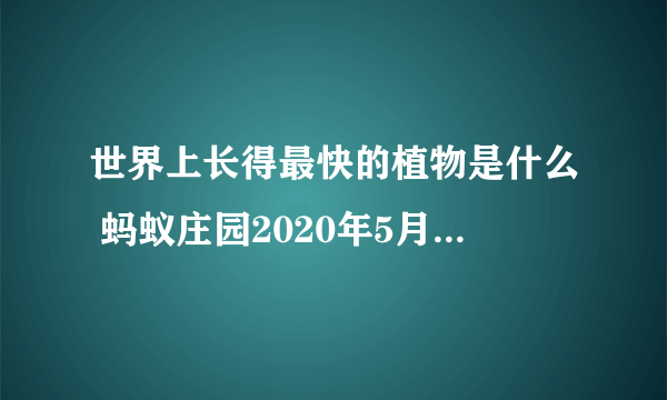 世界上长得最快的植物是什么 蚂蚁庄园2020年5月26日今日答案