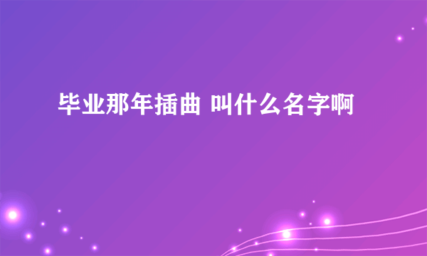 毕业那年插曲 叫什么名字啊