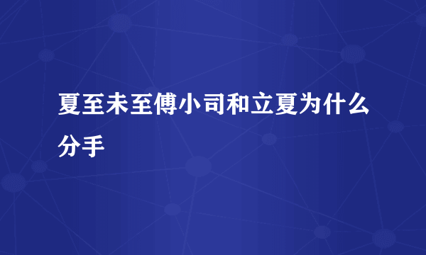 夏至未至傅小司和立夏为什么分手