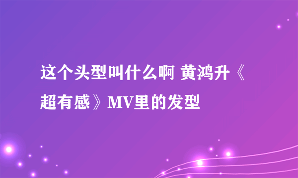 这个头型叫什么啊 黄鸿升《超有感》MV里的发型