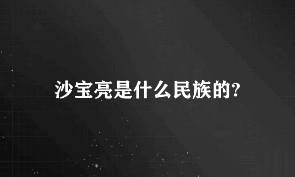 沙宝亮是什么民族的?