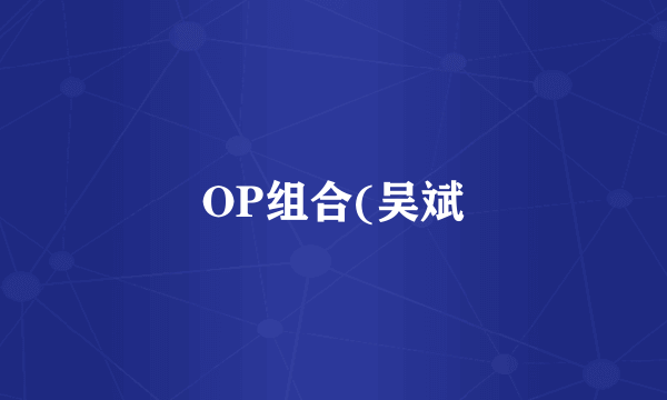 OP组合(吴斌