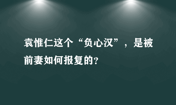 袁惟仁这个“负心汉”，是被前妻如何报复的？