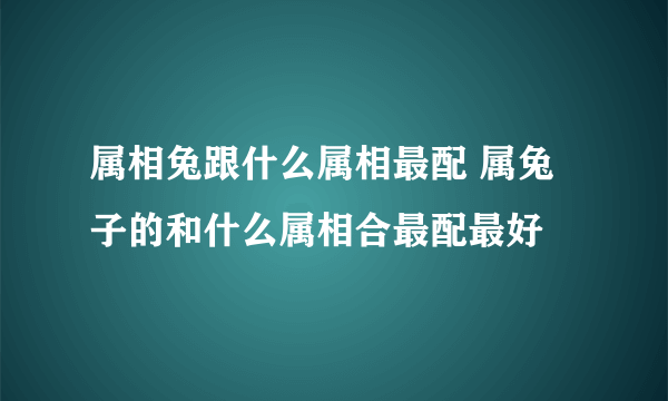 属相兔跟什么属相最配 属兔子的和什么属相合最配最好