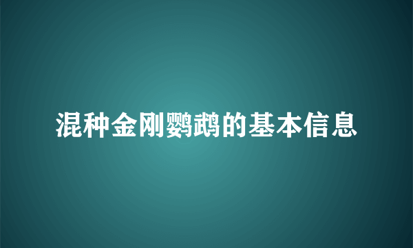 混种金刚鹦鹉的基本信息