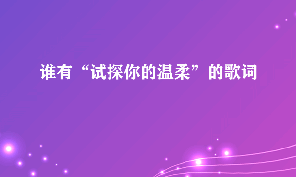 谁有“试探你的温柔”的歌词