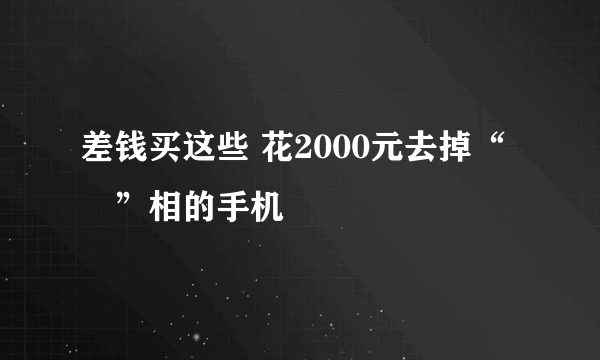 差钱买这些 花2000元去掉“囧”相的手机